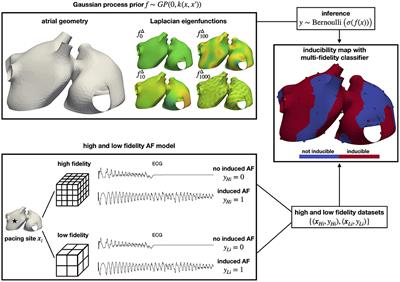 Fast Characterization of Inducible Regions of Atrial Fibrillation Models With Multi-Fidelity Gaussian Process Classification